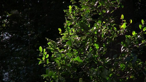 20120220manual.jpg